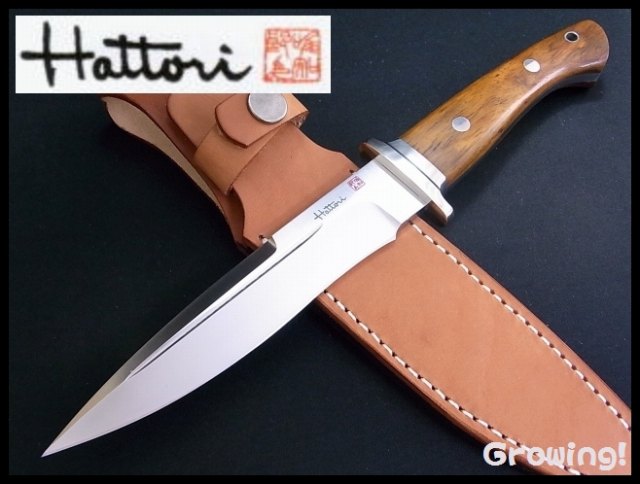 HAFICO-1.jpg